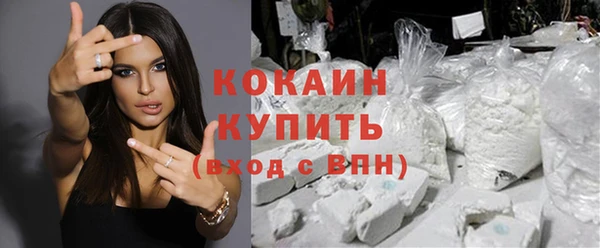 apvp Богородицк