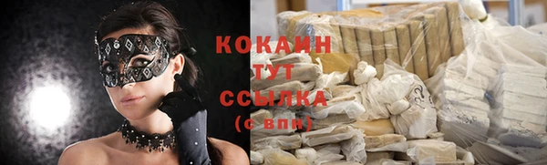 гашиш Богданович
