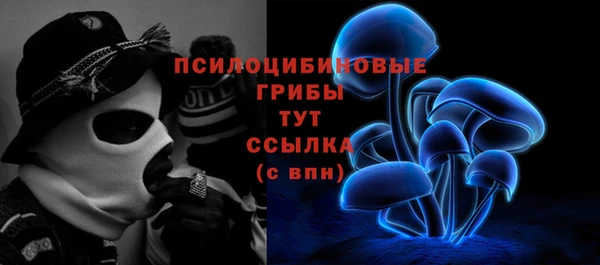 герыч Богородск