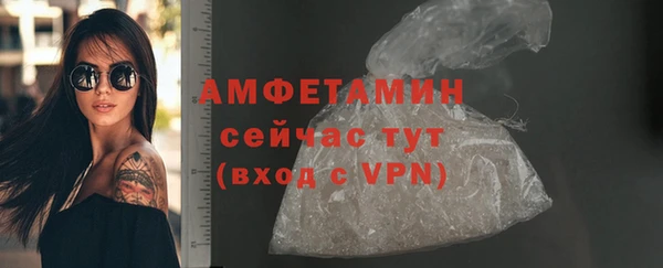 гашиш Богданович