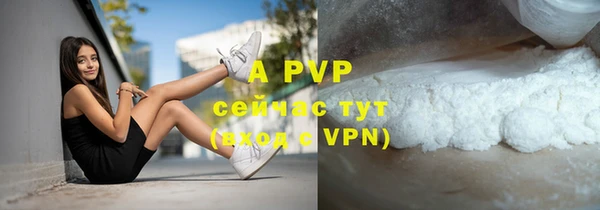 гашиш Богданович