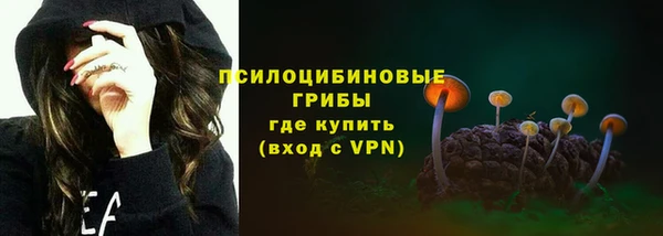 гашиш Богданович