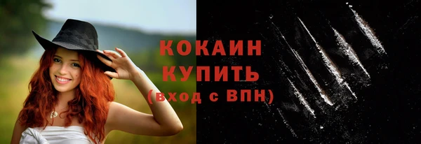 apvp Богородицк