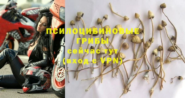 apvp Богородицк