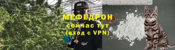 гашиш Богданович