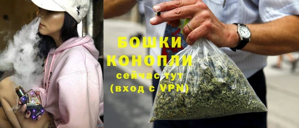 гашиш Богданович
