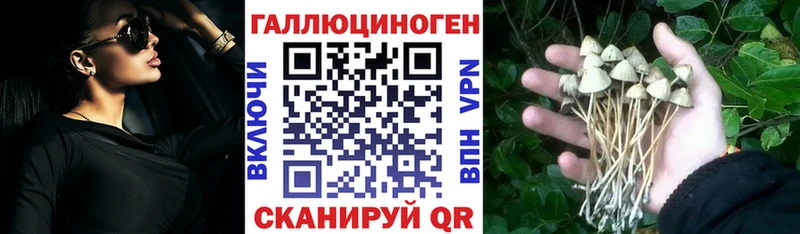 Псилоцибиновые грибы Magic Shrooms  гидра ТОР  Коммунар 
